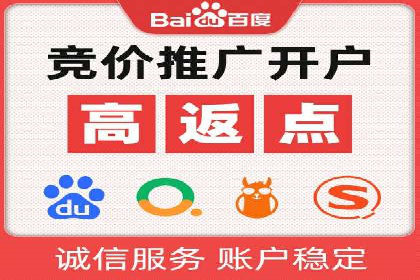 专业SEM代运营托管公司案例分析